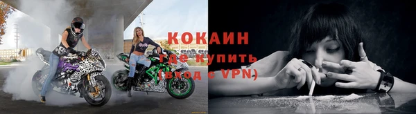 гашик Беломорск