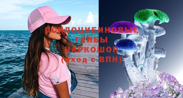 стафф Белокуриха