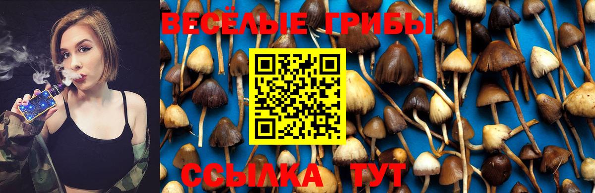 Галлюциногенные грибы MAGIC MUSHROOMS Буйнакск